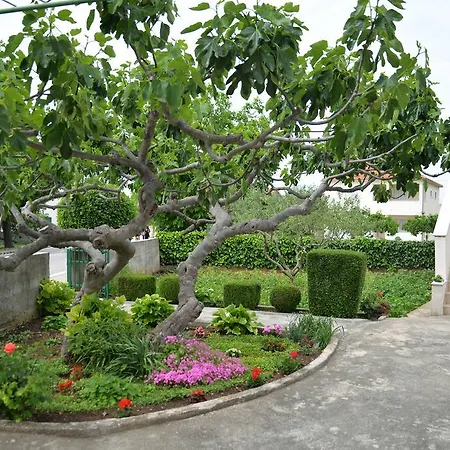 Mladenka Lägenhet *