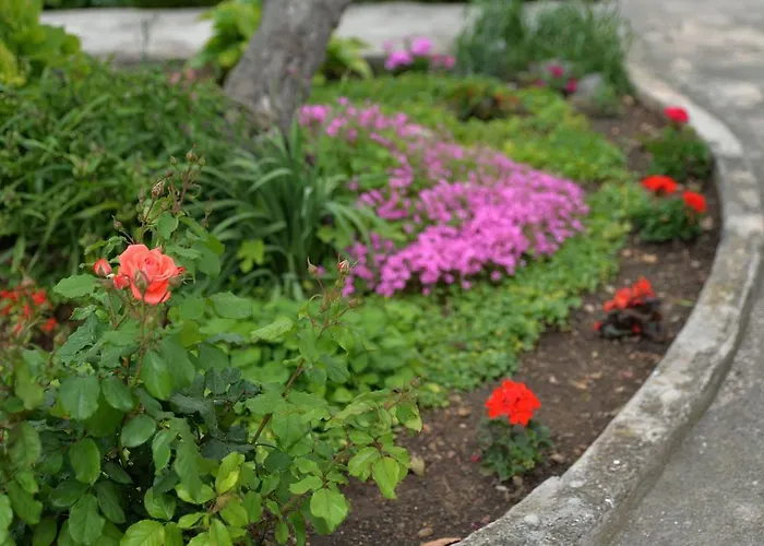 Mladenka 아파트 *