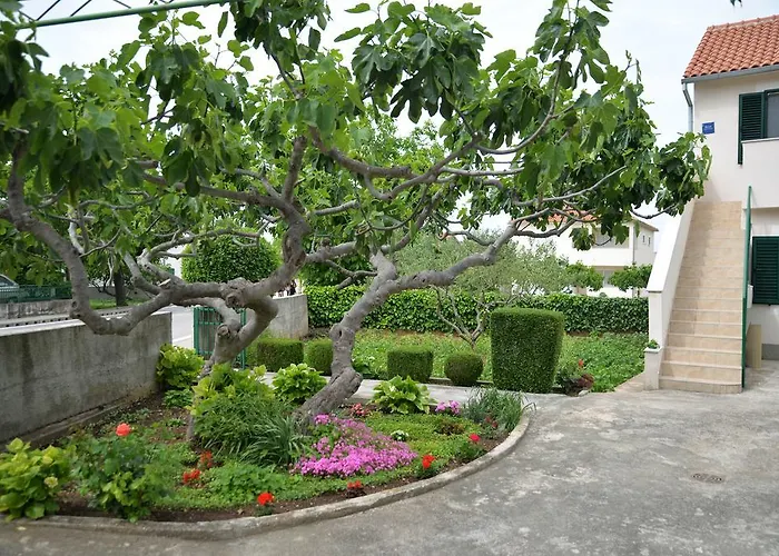 Mladenka 아파트 *