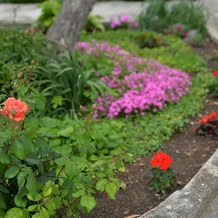 Mladenka Apartamento *